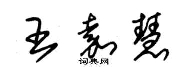 朱錫榮王嘉慧草書個性簽名怎么寫