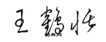 駱恆光王鶴恬草書個性簽名怎么寫