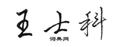 駱恆光王士科行書個性簽名怎么寫