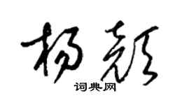 梁錦英楊顏草書個性簽名怎么寫