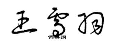 曾慶福王雪羽草書個性簽名怎么寫