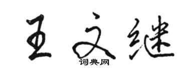 駱恆光王文繼行書個性簽名怎么寫