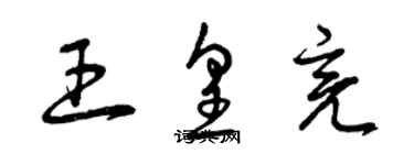 曾慶福王皇亮草書個性簽名怎么寫