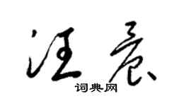 梁錦英汪晨草書個性簽名怎么寫