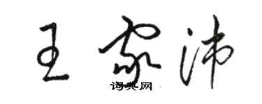 駱恆光王家沛草書個性簽名怎么寫