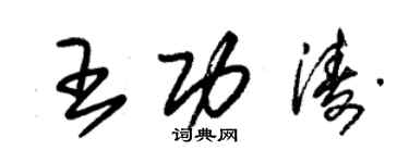 朱錫榮王功濤草書個性簽名怎么寫