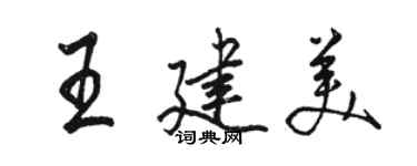 駱恆光王建美行書個性簽名怎么寫