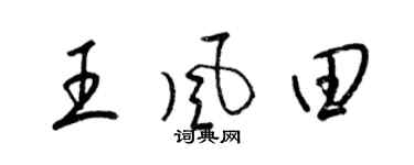 梁錦英王風田草書個性簽名怎么寫