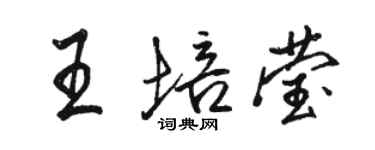 駱恆光王培瑩行書個性簽名怎么寫