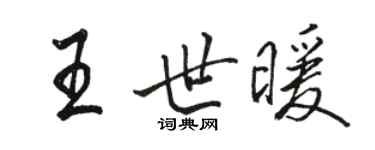 駱恆光王世暖行書個性簽名怎么寫