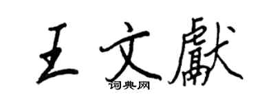 王正良王文獻行書個性簽名怎么寫