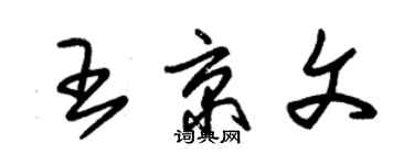 朱錫榮王京文草書個性簽名怎么寫