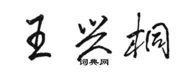 駱恆光王興桐行書個性簽名怎么寫