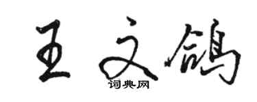 駱恆光王文鴿行書個性簽名怎么寫