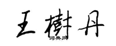 王正良王樹丹行書個性簽名怎么寫