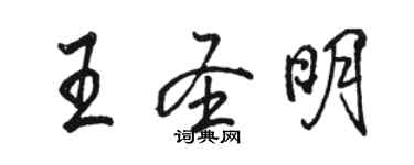 駱恆光王聖明行書個性簽名怎么寫