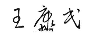 駱恆光王康民草書個性簽名怎么寫