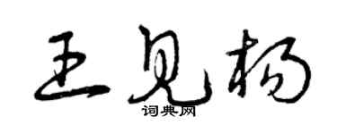 曾慶福王見楊草書個性簽名怎么寫