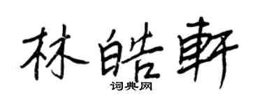 王正良林皓軒行書個性簽名怎么寫
