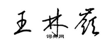 梁錦英王林嶺草書個性簽名怎么寫