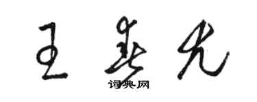 駱恆光王春尤草書個性簽名怎么寫