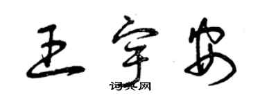 曾慶福王宇安草書個性簽名怎么寫