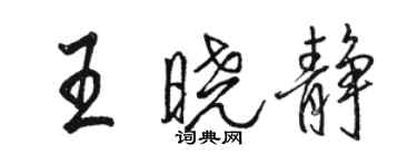 駱恆光王曉靜行書個性簽名怎么寫