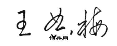 駱恆光王典梅草書個性簽名怎么寫