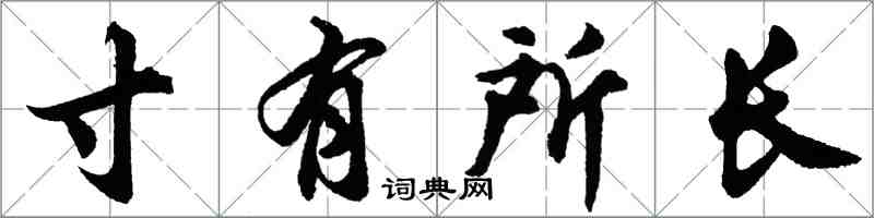 胡問遂寸有所長行書怎么寫