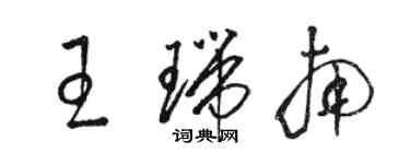 駱恆光王瑞南草書個性簽名怎么寫