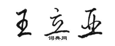 駱恆光王立亞行書個性簽名怎么寫