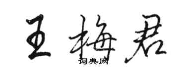 駱恆光王梅君行書個性簽名怎么寫