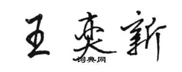 駱恆光王奕新行書個性簽名怎么寫