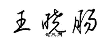梁錦英王曉腸草書個性簽名怎么寫