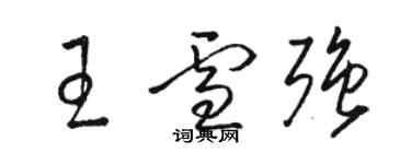 駱恆光王雪強草書個性簽名怎么寫