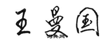 駱恆光王曼國行書個性簽名怎么寫