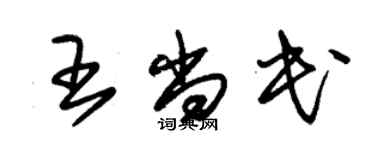 朱錫榮王尚民草書個性簽名怎么寫