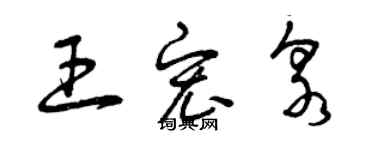 曾慶福王宏泉草書個性簽名怎么寫