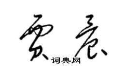 梁錦英賈晨草書個性簽名怎么寫