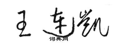 駱恆光王連凱草書個性簽名怎么寫