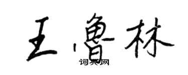 王正良王魯林行書個性簽名怎么寫