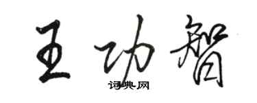 駱恆光王功智行書個性簽名怎么寫