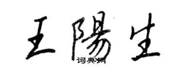 王正良王陽生行書個性簽名怎么寫