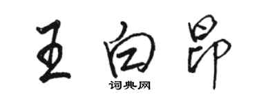 駱恆光王白昂行書個性簽名怎么寫