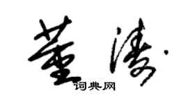 朱錫榮董濤草書個性簽名怎么寫