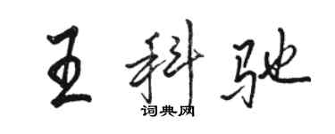 駱恆光王科馳行書個性簽名怎么寫
