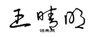 曾慶福王晴明草書個性簽名怎么寫