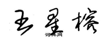 朱錫榮王星榕草書個性簽名怎么寫