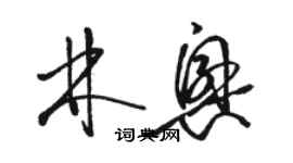 駱恆光林興草書個性簽名怎么寫