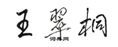 駱恆光王翠桐行書個性簽名怎么寫